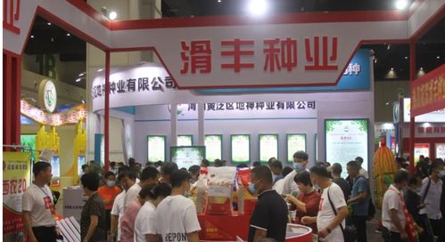 聚焦创新与机遇 河南滑丰种业闪耀2021河南夏季种子信息交流产品展