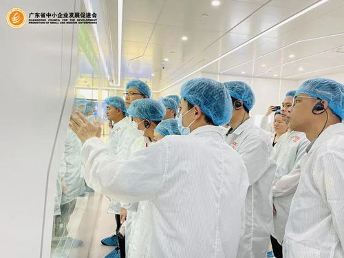 会员专享 探秘世界一流透明工厂，开启工业智造新视界